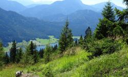 Wir sehen wieder den Weissensee.