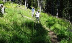 Nach dem Hochtratten gehts steil runter nach Techendorf in der prallen Sonne.