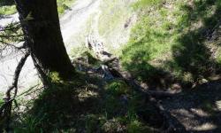 Weg 2a