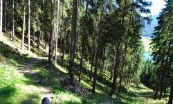 Weg 8 (210). Nach Techendorf.