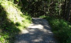 Weg1 von Techendorf nach Neusach
