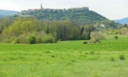 Buzet