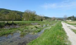 die Mirna, am Beginn ein regulierter Fluss
