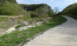 der Fluss teilt sich, links ein Bach, rechts die Mirna
