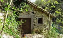 die alte Mühle