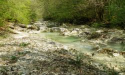 entlang der türkisblauen Mirna wandern wir zurück nach Buzet