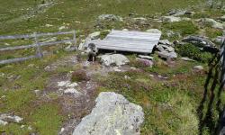 Himmelbett auf der Alm.