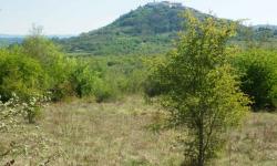 Motovun