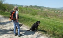 Rückblick auf Brkac, wir wandern jetzt auf der Parenzana