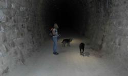 Paranzena Tunnel