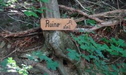 Wir wählen den steileren Weg zur Ruine.