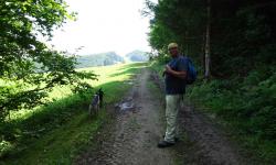 Abwechslungsreicher Weg durch Wald, entlang von Wiesen.