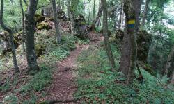 Geißbühel - Spitzmauer