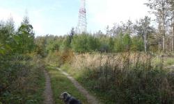 Sendemast am Jochgrabenberg; kurze Rast.