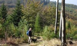 Wir wandern weiter nach Hinterleiten (Eichgraben).