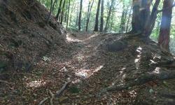 Wunderschöner Wanderweg südlich von Eichgraben - Potzenstein.