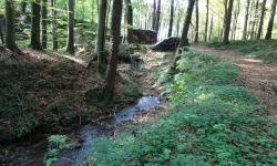 Nach Eichgraben zurück nach Rekawinkel. Der Bach entwässert zur Großen Tulln.