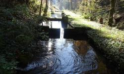 Weiter gehts auf dem Weg S1, über einen Holzsteg, vorbei an Fischteichen