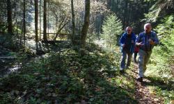 Immer wieder wechseln wir den Zachbach über Holzstege.