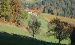 Weg S13. Rückblick zum Ofnerpeter.