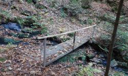 Entlang der Lemsitz wandern wir nach Grubberg.