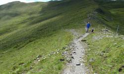 Weg zum Kühlnbrein