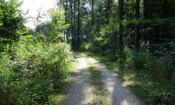 Weg Unterkritzendorf Altenberg