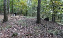 Zwickelberg